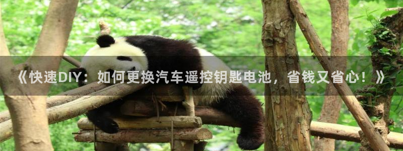 优发国际网站