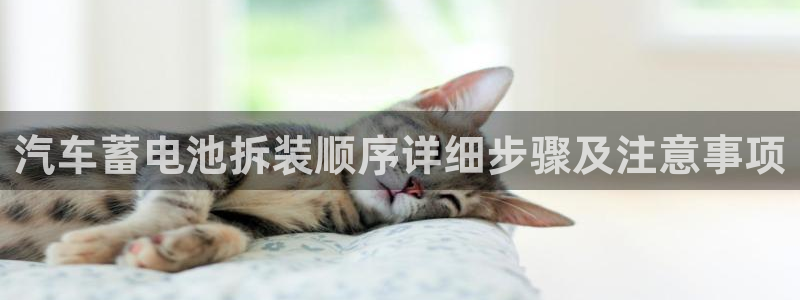 优发国际平台g8怎么样