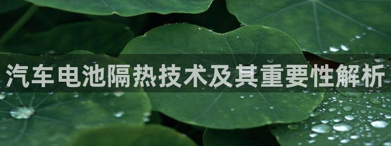优发国际平台g80