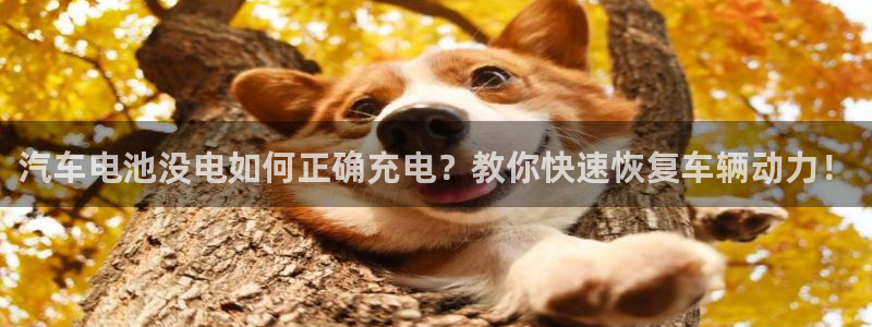 优发国际客服联系方式
