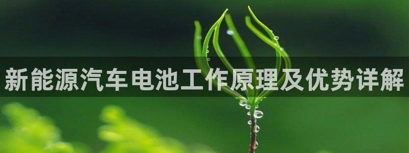 优发国际网官网17w8