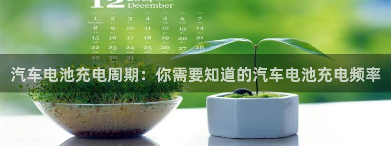 优发国际平台18岁能做吗