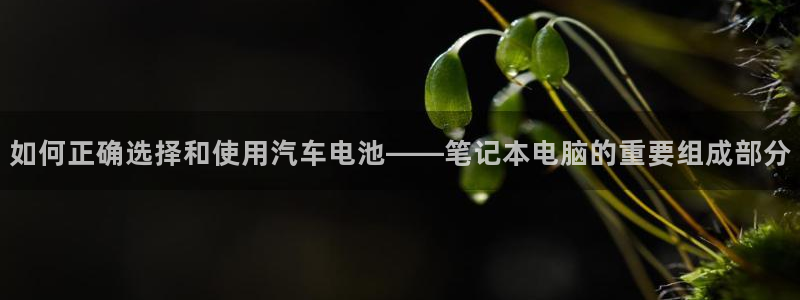 优发国际平台手机版下载