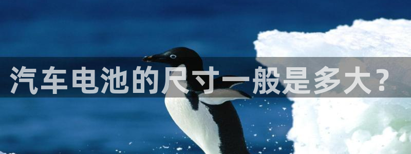优发国际平台18