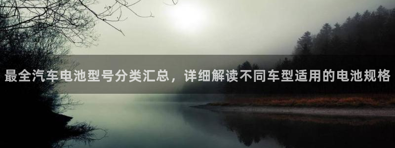 优发国际youfa966