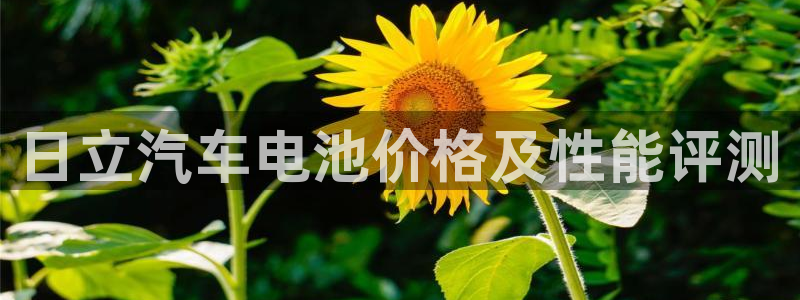 优发国际手机app下载地址