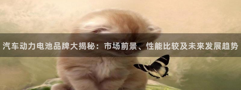 优发国际游戏17