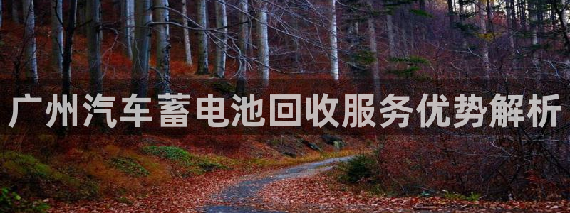 优发国际这个平台怎么样