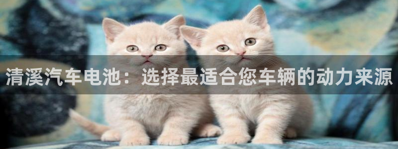 优发国际客服联系方式电话