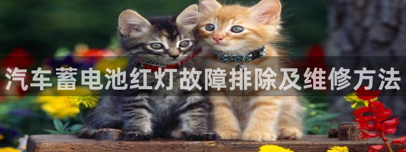 优发国际电话