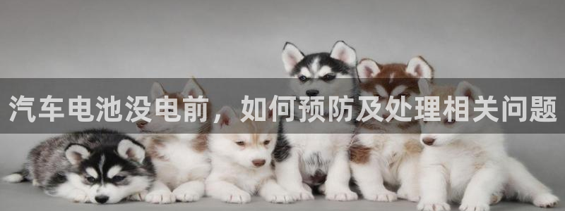 优发国际官方网平台是正品吗