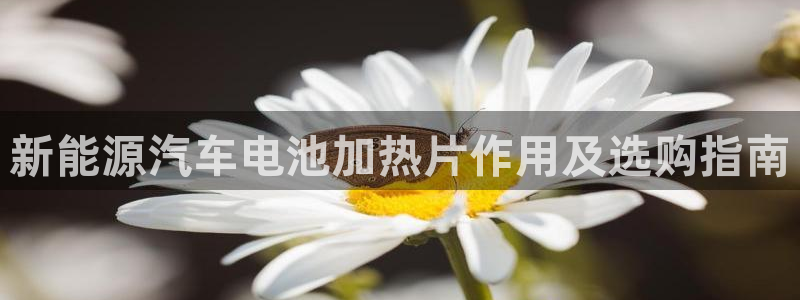 优发国际手机客户端下载安装