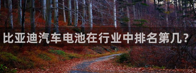 优发国际平台g8