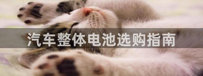 优发国际手机客户端下载安装