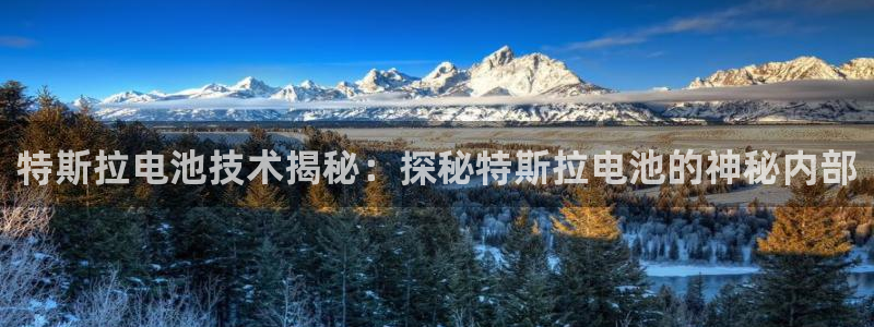 优发国际娱乐官网多少?