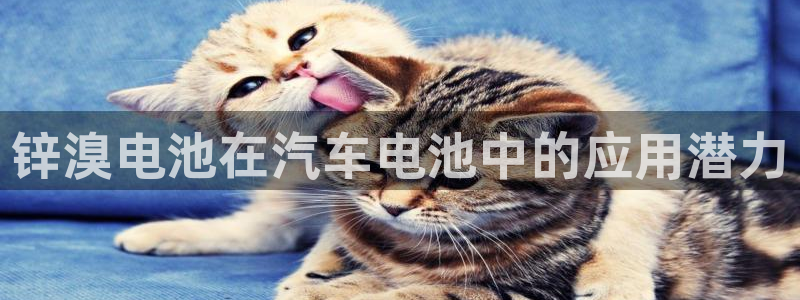 优发国际游戏n