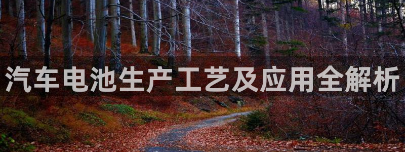 优发国际网站多少