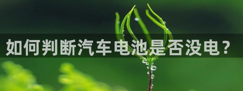 优发国际手机版官网入口