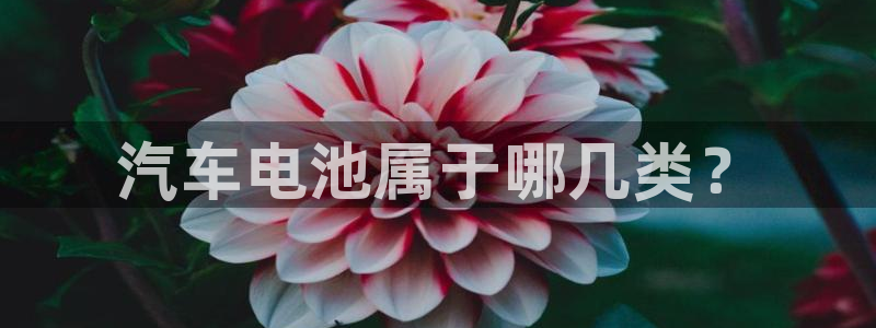 优发国际官网