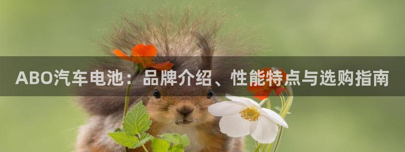 优发国际登陆