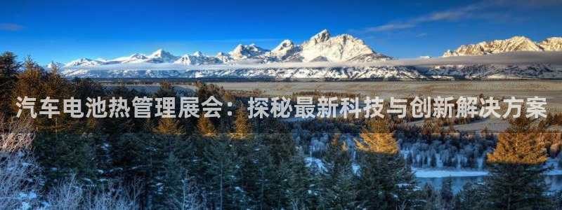 优发国际下载app