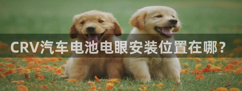 优发国际手机客户端下载安装手机版