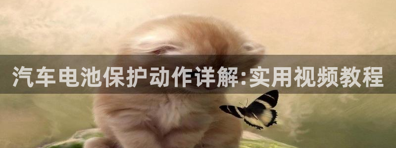 优发国际app官网下载安装手机版