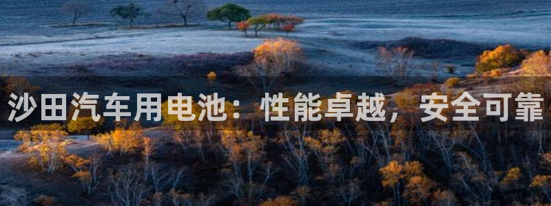 优发国际手机版网站入口