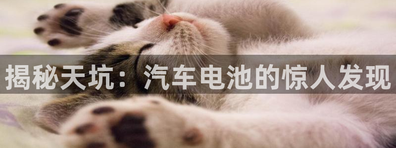 优发国际官网