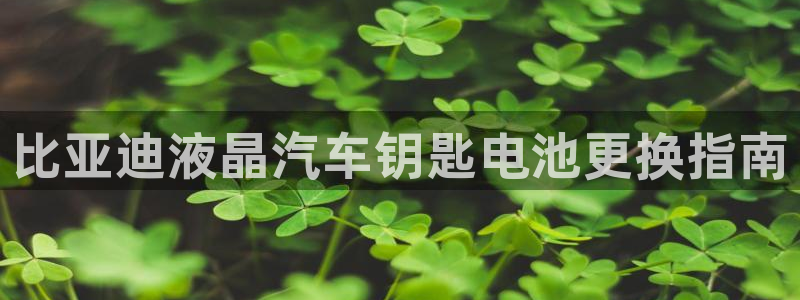 优发国际官网手机版