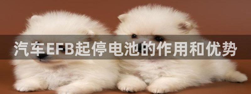 优发国际游戏