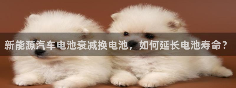 优发国际官方网平台