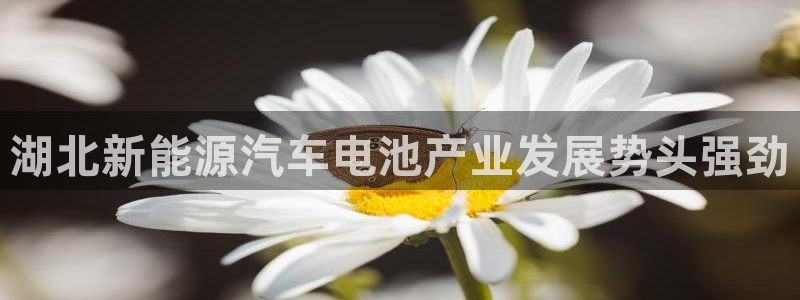 优发国际官网手机号