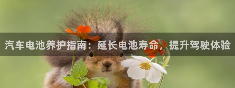 优发国际手机版