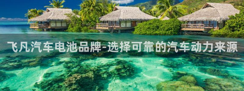 优发国际vip网址