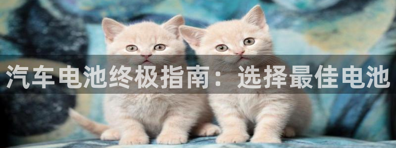 优发国际官网入口app下载安装