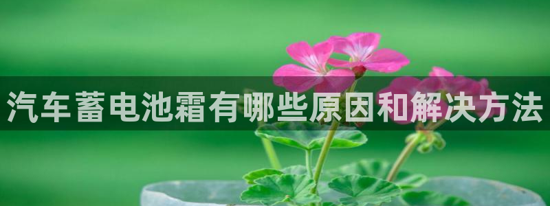 优发国际首页app
