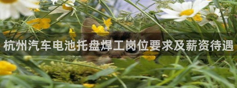 优发国际平台18