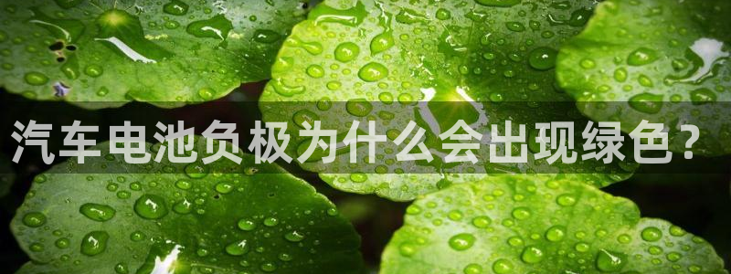 优发国际网官网17o8