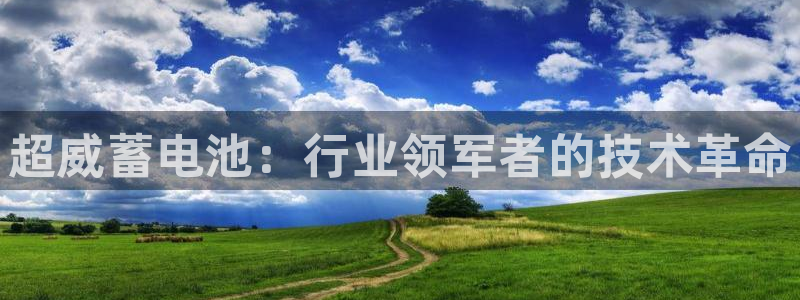 优发国际合并到哪里了