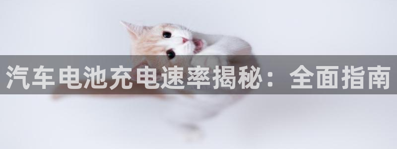 优发国际是大平台吗还是小平