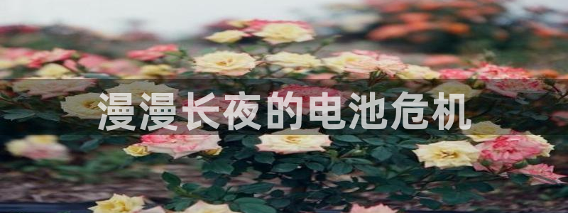 优发国际youfa
