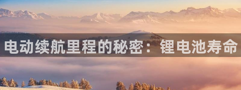 优发国际手机版网站登录
