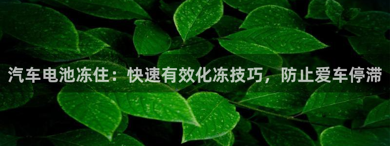 优发国际手机版唯一官网下载