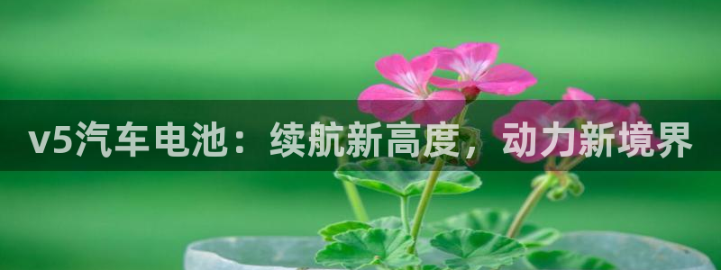 优发国际官网网站入口
