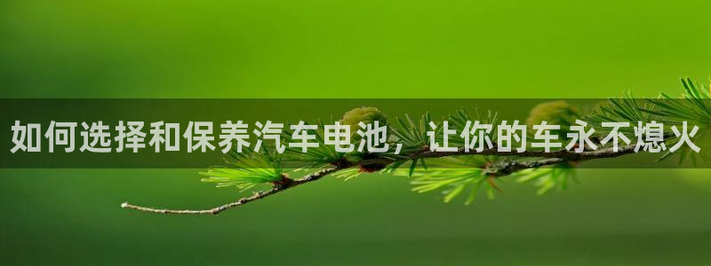 优发国际-触即发