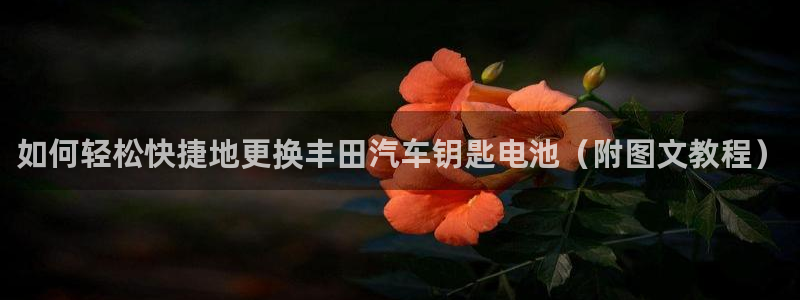 优发国际下载app