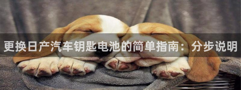 优发国际的官网是正品吗