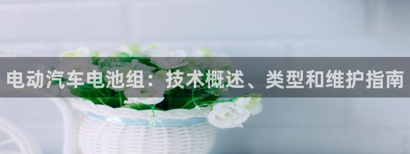 优发国际游戏17岁能玩吗