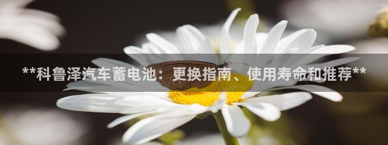 优发国际手机客户端下载安装手机版
